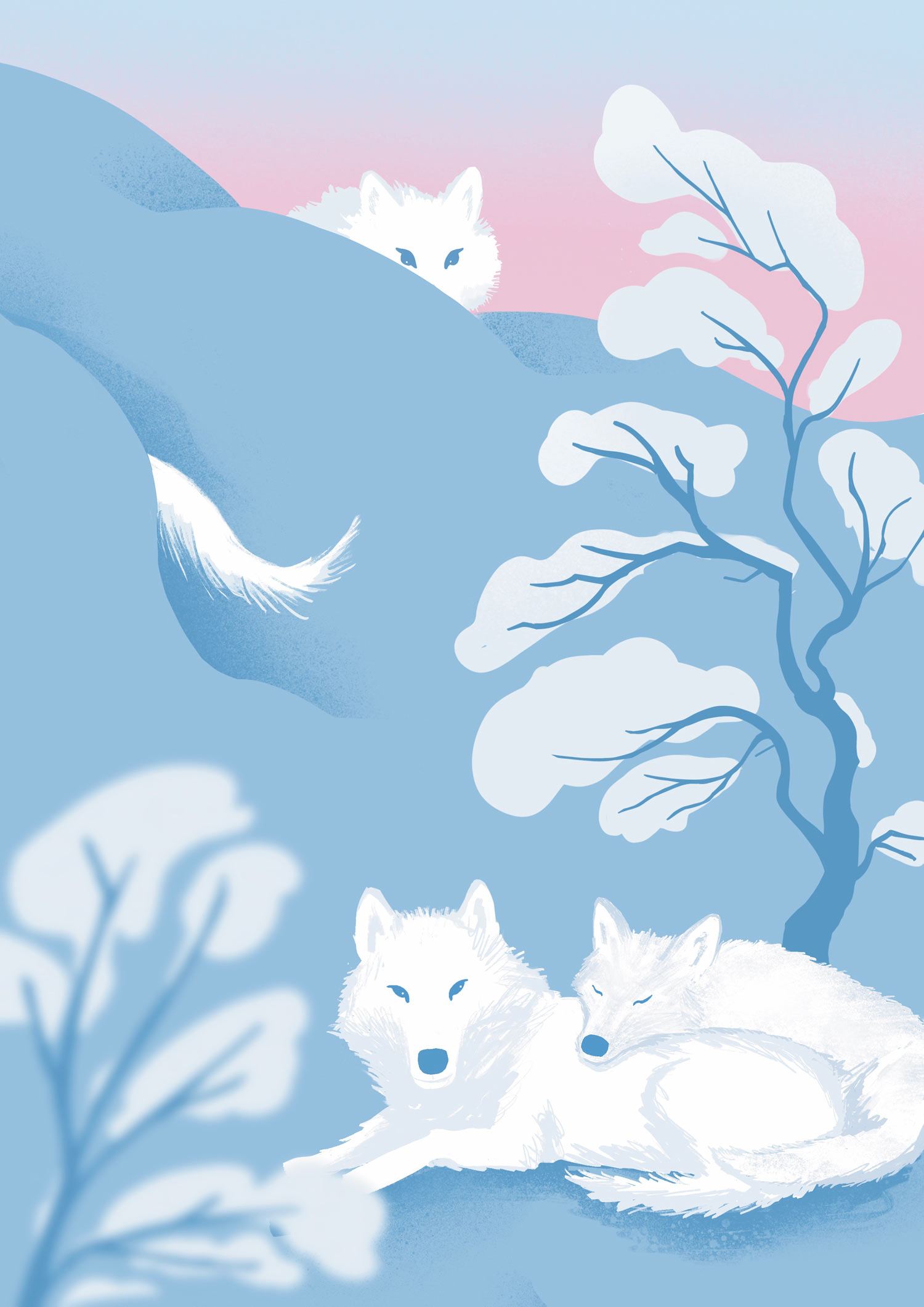 Nuorten Luonto, 10 väitettä sudesta