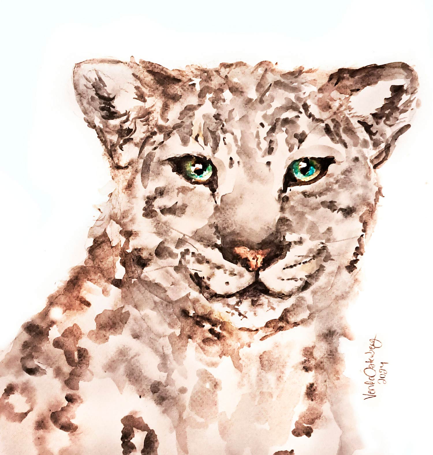 Nuorten Luonto, hyvät uutiset, Lumileopardi