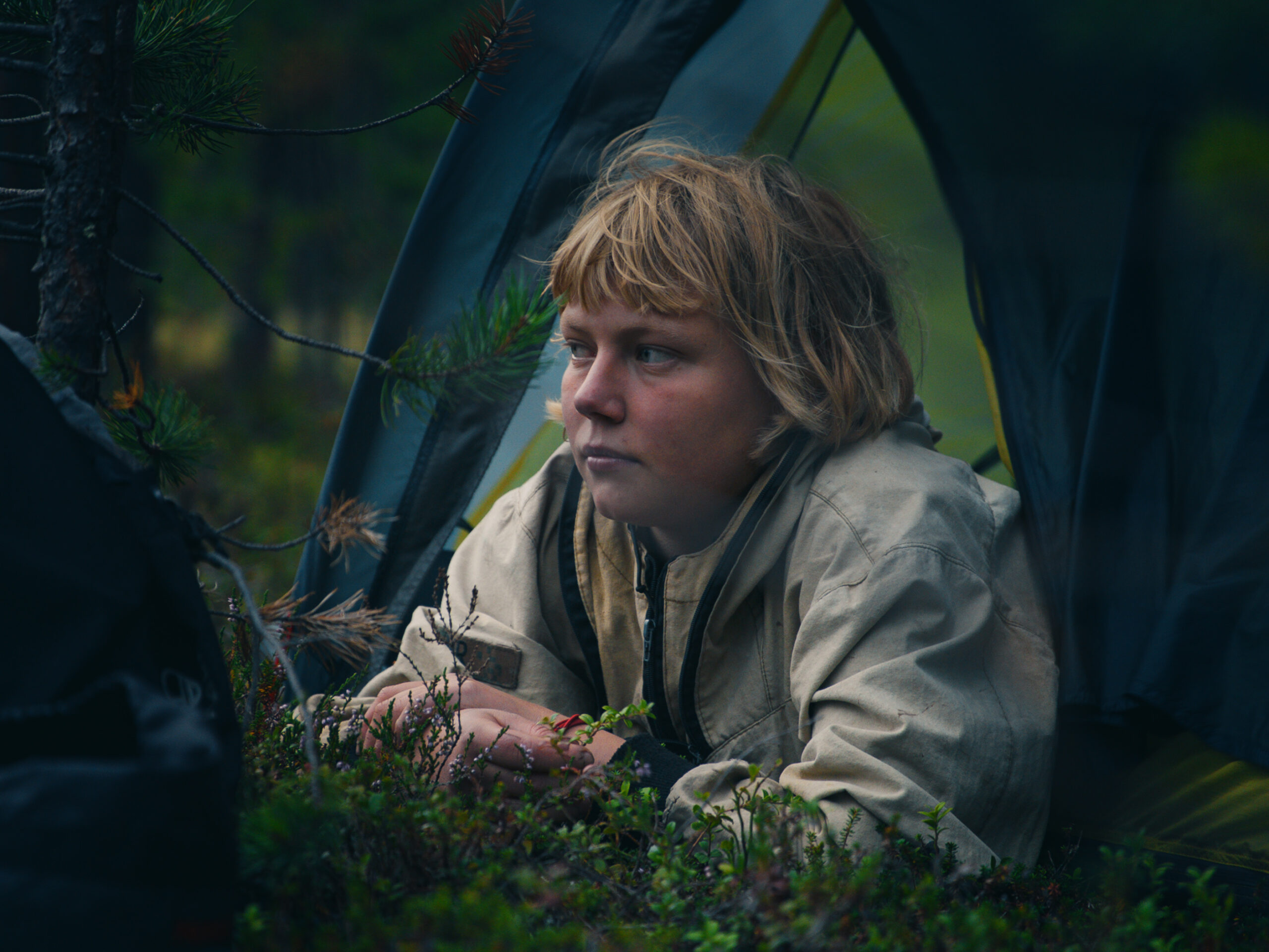 Nuorten Luonto, havumetsän lapset